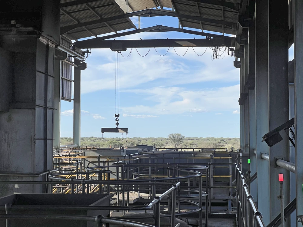 KBG – EE – 20250124 – (436)