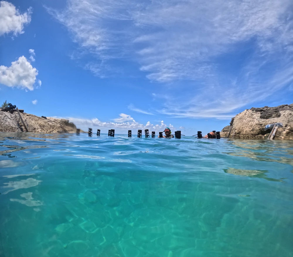 SSB – August 2025 installation (2)