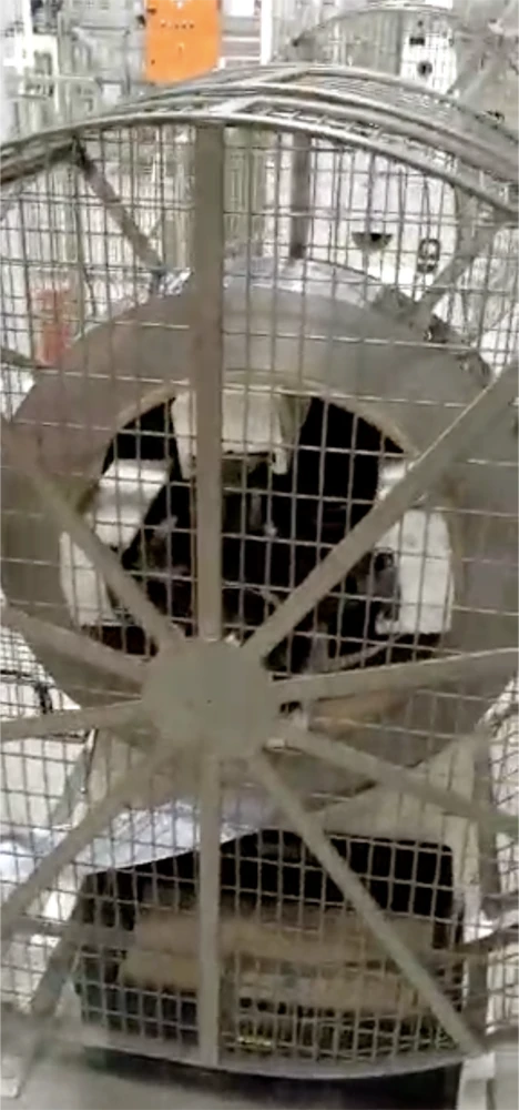 Screenshot 2026-02-19 at 09.08.53