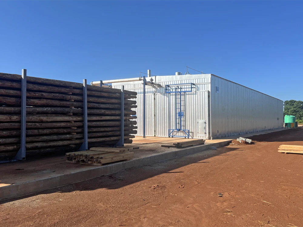 Zaffico – 20240124 – (14)