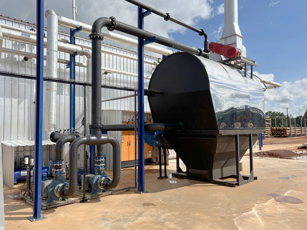 Zaffico – 20240124 – (150)